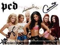 ink o poza q ele poze cu pussycat dolls...